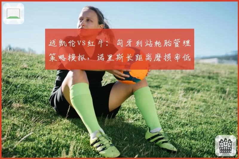 迈凯伦vs红牛：匈牙利站轮胎管理策略模拟，诺里斯长距离磨损率低于维斯塔潘