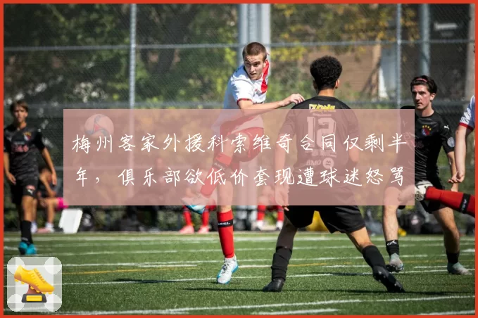 梅州客家外援科索维奇合同仅剩半年，俱乐部欲低价套现遭球迷怒骂“自毁长城”