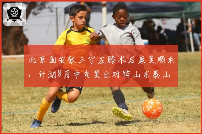 北京国安张玉宁左膝术后康复顺利,计划8月中旬复出对阵山东泰山