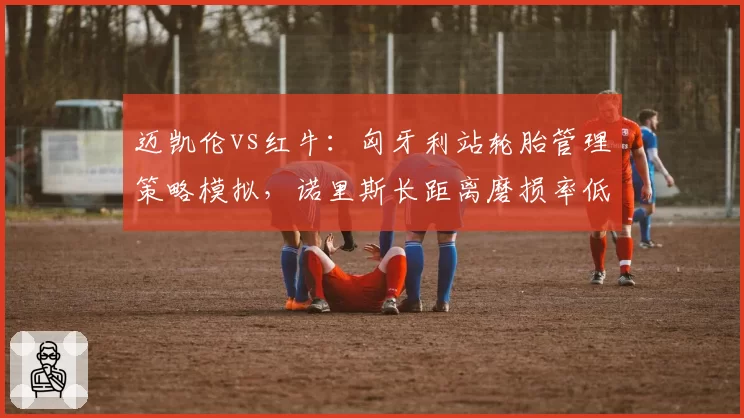 迈凯伦vs红牛：匈牙利站轮胎管理策略模拟，诺里斯长距离磨损率低于维斯塔潘