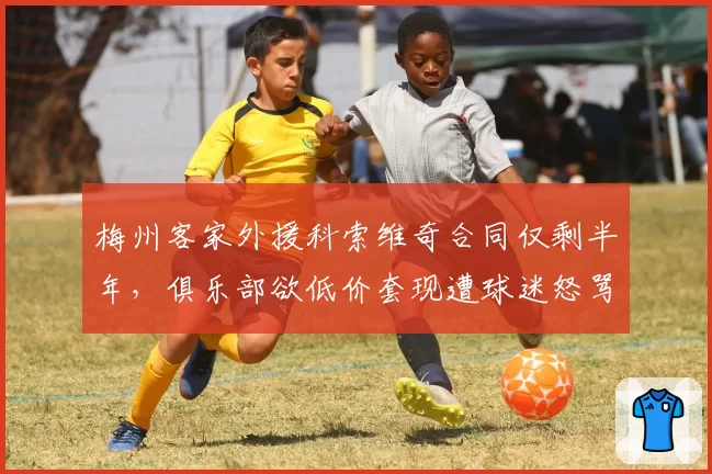 梅州客家外援科索维奇合同仅剩半年,俱乐部欲低价套现遭球迷怒骂“自毁长城”